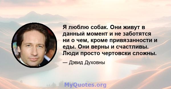 Я люблю собак. Они живут в данный момент и не заботятся ни о чем, кроме привязанности и еды. Они верны и счастливы. Люди просто чертовски сложны.