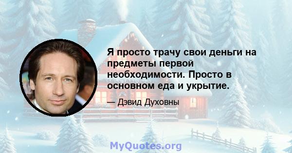 Я просто трачу свои деньги на предметы первой необходимости. Просто в основном еда и укрытие.