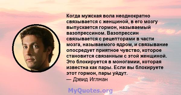 Когда мужская вола неоднократно связывается с женщиной, в его мозгу выпускается гормон, называемый вазопрессином. Вазопрессин связывается с рецепторами в части мозга, называемого ядром, и связывание опосредует приятное