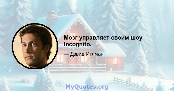 Мозг управляет своим шоу Incognito.