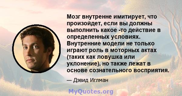 Мозг внутренне имитирует, что произойдет, если вы должны выполнить какое -то действие в определенных условиях. Внутренние модели не только играют роль в моторных актах (таких как ловушка или уклонение), но также лежат в 