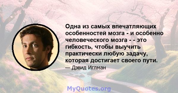 Одна из самых впечатляющих особенностей мозга - и особенно человеческого мозга - - это гибкость, чтобы выучить практически любую задачу, которая достигает своего пути.