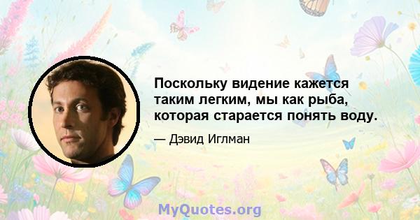 Поскольку видение кажется таким легким, мы как рыба, которая старается понять воду.