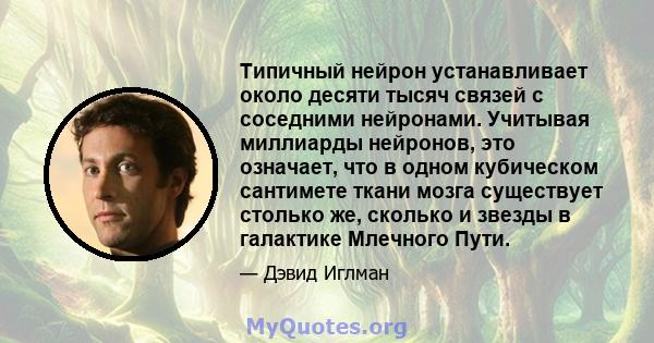 Типичный нейрон устанавливает около десяти тысяч связей с соседними нейронами. Учитывая миллиарды нейронов, это означает, что в одном кубическом сантимете ткани мозга существует столько же, сколько и звезды в галактике