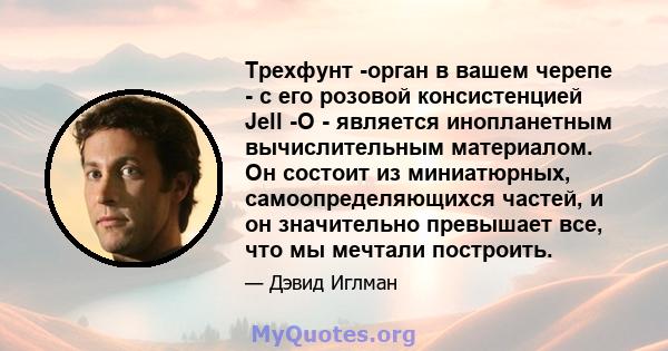 Трехфунт -орган в вашем черепе - с его розовой консистенцией Jell -O - является инопланетным вычислительным материалом. Он состоит из миниатюрных, самоопределяющихся частей, и он значительно превышает все, что мы