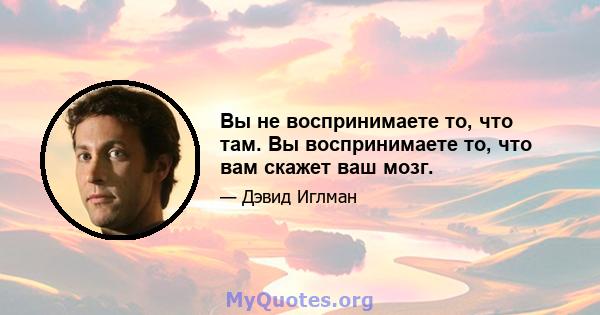 Вы не воспринимаете то, что там. Вы воспринимаете то, что вам скажет ваш мозг.