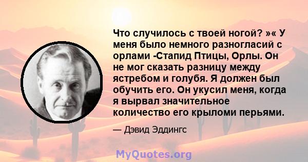 Что случилось с твоей ногой? »« У меня было немного разногласий с орлами -Стапид Птицы, Орлы. Он не мог сказать разницу между ястребом и голубя. Я должен был обучить его. Он укусил меня, когда я вырвал значительное