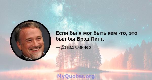 Если бы я мог быть кем -то, это был бы Брэд Питт.