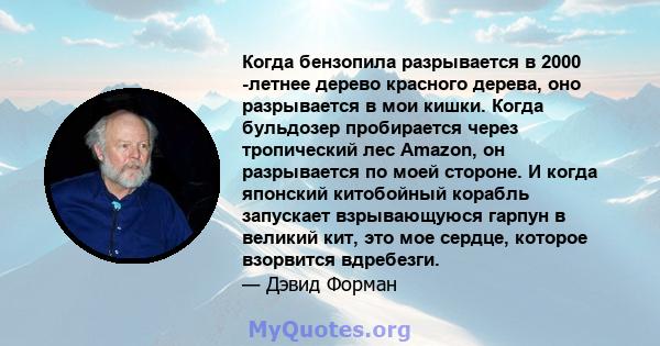 Когда бензопила разрывается в 2000 -летнее дерево красного дерева, оно разрывается в мои кишки. Когда бульдозер пробирается через тропический лес Amazon, он разрывается по моей стороне. И когда японский китобойный