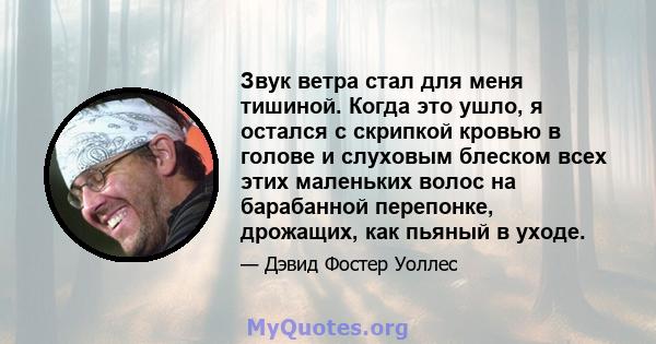 Звук ветра стал для меня тишиной. Когда это ушло, я остался с скрипкой кровью в голове и слуховым блеском всех этих маленьких волос на барабанной перепонке, дрожащих, как пьяный в уходе.