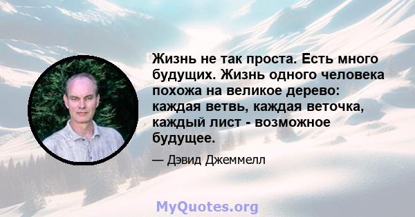 Жизнь не так проста. Есть много будущих. Жизнь одного человека похожа на великое дерево: каждая ветвь, каждая веточка, каждый лист - возможное будущее.