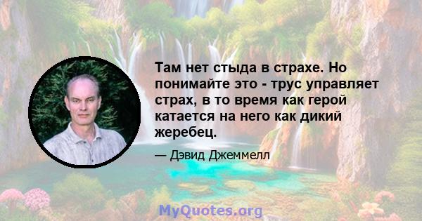 Там нет стыда в страхе. Но понимайте это - трус управляет страх, в то время как герой катается на него как дикий жеребец.