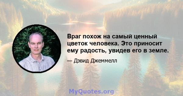 Враг похож на самый ценный цветок человека. Это приносит ему радость, увидев его в земле.