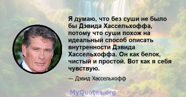 Я думаю, что без суши не было бы Дэвида Хассельхоффа, потому что суши похож на идеальный способ описать внутренности Дэвида Хассельхоффа. Он как белок, чистый и простой. Вот как я себя чувствую.