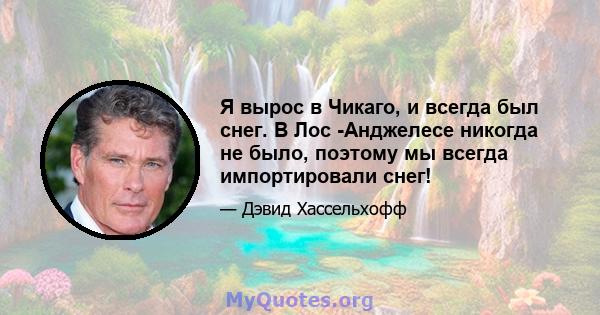 Я вырос в Чикаго, и всегда был снег. В Лос -Анджелесе никогда не было, поэтому мы всегда импортировали снег!