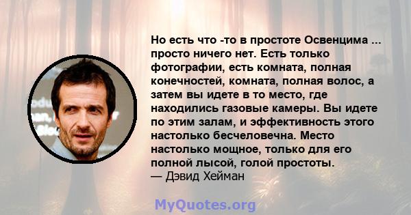 Но есть что -то в простоте Освенцима ... просто ничего нет. Есть только фотографии, есть комната, полная конечностей, комната, полная волос, а затем вы идете в то место, где находились газовые камеры. Вы идете по этим