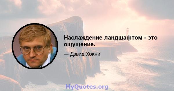 Наслаждение ландшафтом - это ощущение.