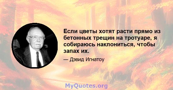 Если цветы хотят расти прямо из бетонных трещин на тротуаре, я собираюсь наклониться, чтобы запах их.