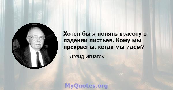 Хотел бы я понять красоту в падении листьев. Кому мы прекрасны, когда мы идем?