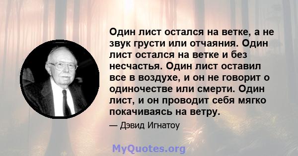 Один лист остался на ветке, а не звук грусти или отчаяния. Один лист остался на ветке и без несчастья. Один лист оставил все в воздухе, и он не говорит о одиночестве или смерти. Один лист, и он проводит себя мягко