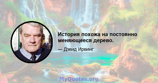 История похожа на постоянно меняющееся дерево.