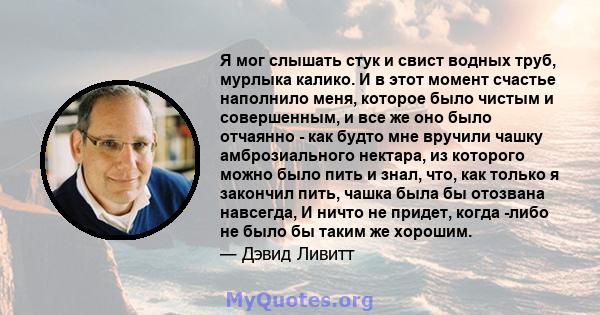 Я мог слышать стук и свист водных труб, мурлыка калико. И в этот момент счастье наполнило меня, которое было чистым и совершенным, и все же оно было отчаянно - как будто мне вручили чашку амброзиального нектара, из