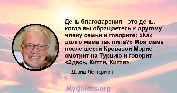 День благодарения - это день, когда вы обращаетесь к другому члену семьи и говорите: «Как долго мама так пила?» Моя мама после шести Кровавой Мэрис смотрит на Турцию и говорит: «Здесь, Китти, Китти».