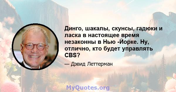 Динго, шакалы, скунсы, гадюки и ласка в настоящее время незаконны в Нью -Йорке. Ну, отлично, кто будет управлять CBS?