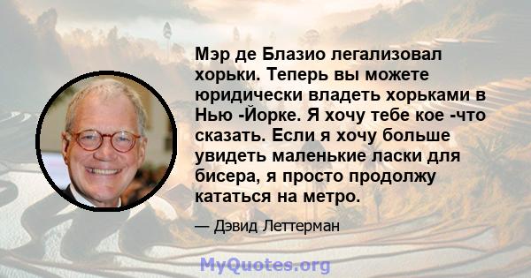 Мэр де Блазио легализовал хорьки. Теперь вы можете юридически владеть хорьками в Нью -Йорке. Я хочу тебе кое -что сказать. Если я хочу больше увидеть маленькие ласки для бисера, я просто продолжу кататься на метро.