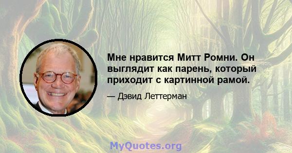 Мне нравится Митт Ромни. Он выглядит как парень, который приходит с картинной рамой.