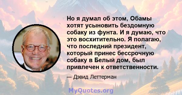 Но я думал об этом, Обамы хотят усыновить бездомную собаку из фунта. И я думаю, что это восхитительно. Я полагаю, что последний президент, который принес бессрочную собаку в Белый дом, был привлечен к ответственности.