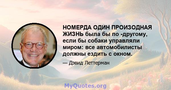 НОМЕРДА ОДИН ПРОИЗОДНАЯ ЖИЗНЬ была бы по -другому, если бы собаки управляли миром: все автомобилисты должны ездить с окном.