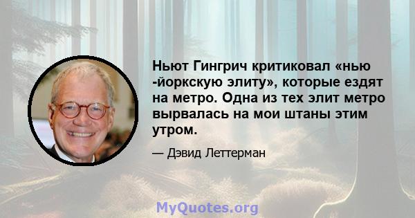 Ньют Гингрич критиковал «нью -йоркскую элиту», которые ездят на метро. Одна из тех элит метро вырвалась на мои штаны этим утром.