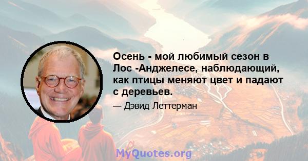 Осень - мой любимый сезон в Лос -Анджелесе, наблюдающий, как птицы меняют цвет и падают с деревьев.