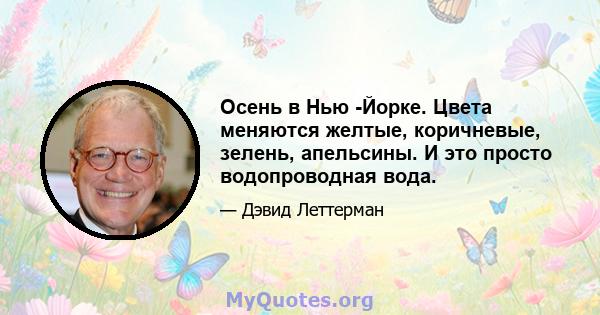 Осень в Нью -Йорке. Цвета меняются желтые, коричневые, зелень, апельсины. И это просто водопроводная вода.