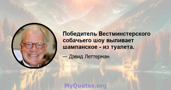 Победитель Вестминстерского собачьего шоу выпивает шампанское - из туалета.