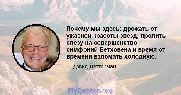 Почему мы здесь: дрожать от ужасной красоты звезд, пролить слезу на совершенство симфоний Бетховена и время от времени взломать холодную.