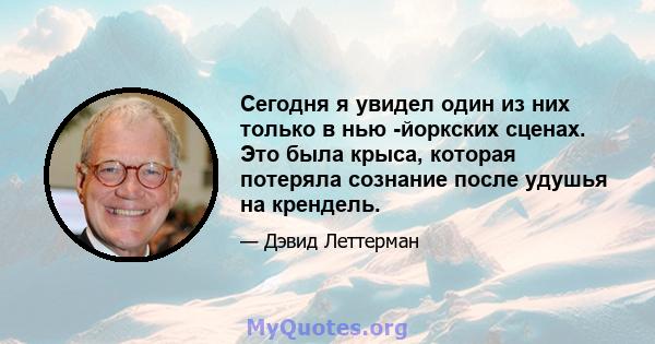 Сегодня я увидел один из них только в нью -йоркских сценах. Это была крыса, которая потеряла сознание после удушья на крендель.