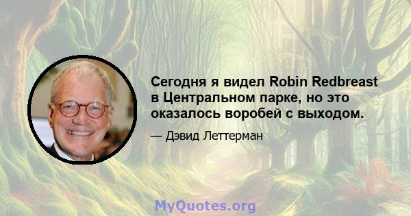 Сегодня я видел Robin Redbreast в Центральном парке, но это оказалось воробей с выходом.