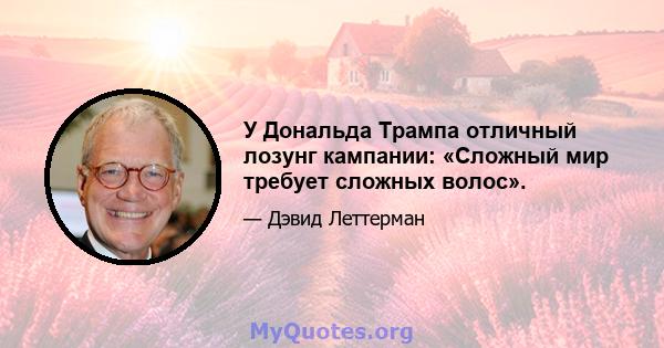 У Дональда Трампа отличный лозунг кампании: «Сложный мир требует сложных волос».