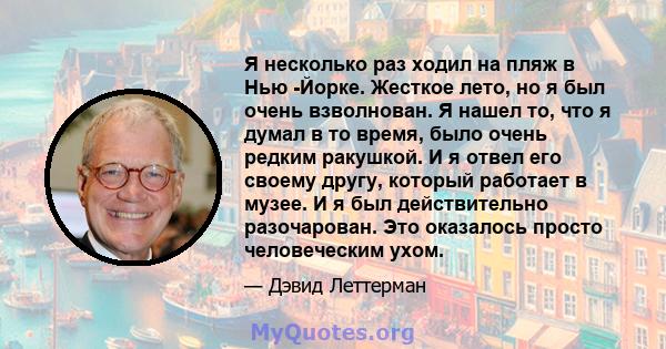 Я несколько раз ходил на пляж в Нью -Йорке. Жесткое лето, но я был очень взволнован. Я нашел то, что я думал в то время, было очень редким ракушкой. И я отвел его своему другу, который работает в музее. И я был