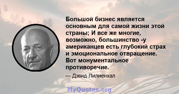 Большой бизнес является основным для самой жизни этой страны; И все же многие, возможно, большинство -у американцев есть глубокий страх и эмоциональное отвращение. Вот монументальное противоречие.