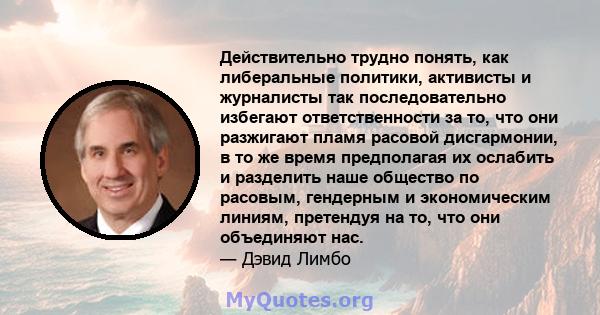 Действительно трудно понять, как либеральные политики, активисты и журналисты так последовательно избегают ответственности за то, что они разжигают пламя расовой дисгармонии, в то же время предполагая их ослабить и