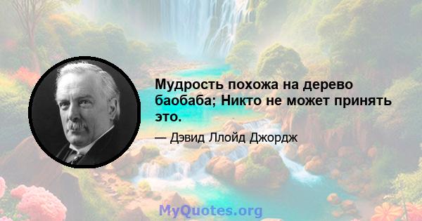 Мудрость похожа на дерево баобаба; Никто не может принять это.