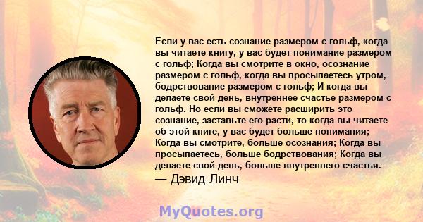 Если у вас есть сознание размером с гольф, когда вы читаете книгу, у вас будет понимание размером с гольф; Когда вы смотрите в окно, осознание размером с гольф, когда вы просыпаетесь утром, бодрствование размером с