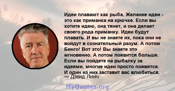 Идеи плавают как рыба. Желание идеи - это как приманка на крючке. Если вы хотите идею, она тянет, и она делает своего рода приманку. Идеи будут плавать. И вы не знаете их, пока они не войдут в сознательный разум. А