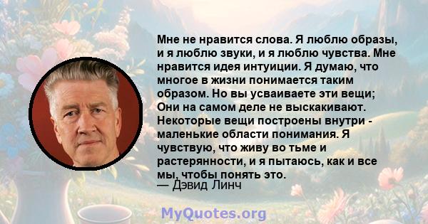 Мне не нравится слова. Я люблю образы, и я люблю звуки, и я люблю чувства. Мне нравится идея интуиции. Я думаю, что многое в жизни понимается таким образом. Но вы усваиваете эти вещи; Они на самом деле не выскакивают.