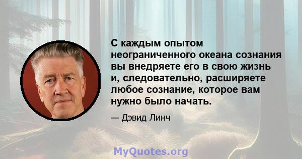 С каждым опытом неограниченного океана сознания вы внедряете его в свою жизнь и, следовательно, расширяете любое сознание, которое вам нужно было начать.