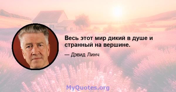 Весь этот мир дикий в душе и странный на вершине.