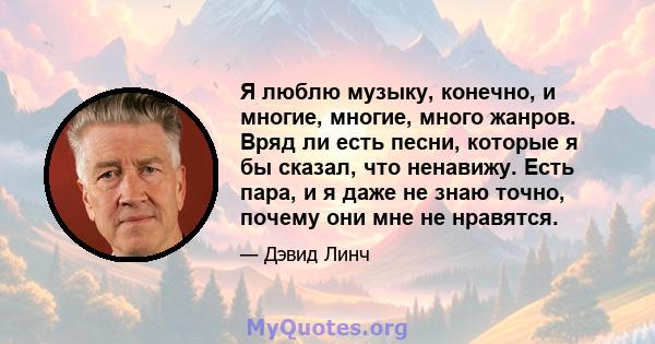 Я люблю музыку, конечно, и многие, многие, много жанров. Вряд ли есть песни, которые я бы сказал, что ненавижу. Есть пара, и я даже не знаю точно, почему они мне не нравятся.